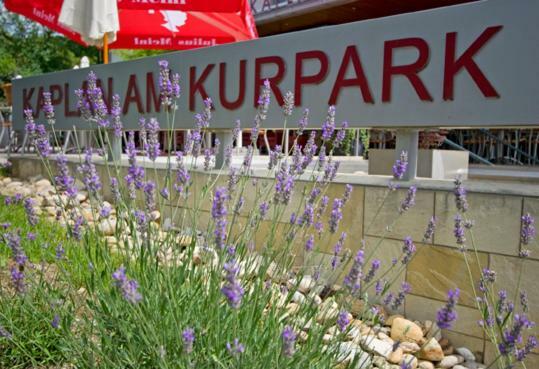 巴特塔茨曼斯多夫 Kaplan Am Kurpark酒店 外观 照片